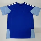 26-27 Cruzeiro Blue Training shirts