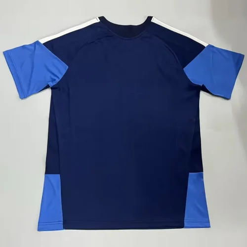 26-27 Cruzeiro Royal blue Training shirts (宝蓝色)