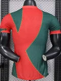 25-26 Marseille Red Green Special Edition Player Version Training shirts