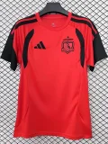 26-27 Colo-Colo Red Training shirts (圆领)