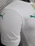 24-25 Senegal Home Player Version Soccer Jersey (Stars 2 星)