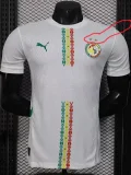 24-25 Senegal Home Player Version Soccer Jersey (Stars 2 星)