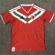 26-27 Wales Red Special Edition Fans Soccer Jersey