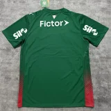 26-27 Palmeiras Home Print Sponsor Fans Soccer Jersey