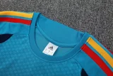 26-27 Spain Lake blue Training Short Suit