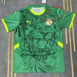 24-25 Senegal Away Fans Soccer Jersey (Stars 2 星)