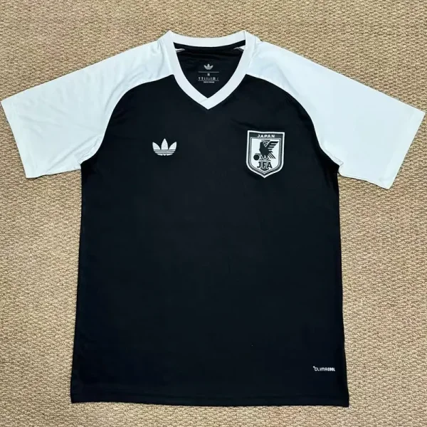 26-27 Japan Grey Fans Training shirts
