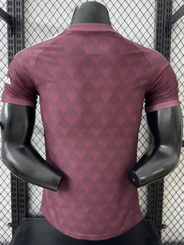 25-26 ARS Brown Special Edition Player Version Training Shirts