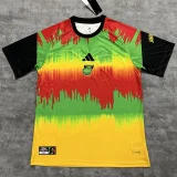 26-27 Jamaica Yellow Red Training shirts