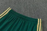 26-27 Italy Green Training Short Suit