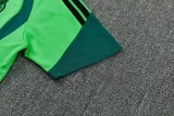 26-27 Mexico Green Training Short Suit