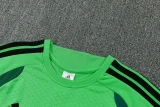 26-27 Mexico Green Training Short Suit