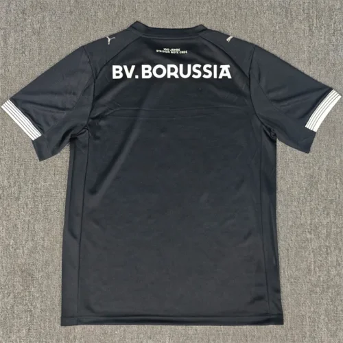 25-26 Dortmund Rote Erde 100th Anniversary Fans Soccer Jersey