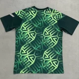 26-27 Mexico Green Fans Training shirts