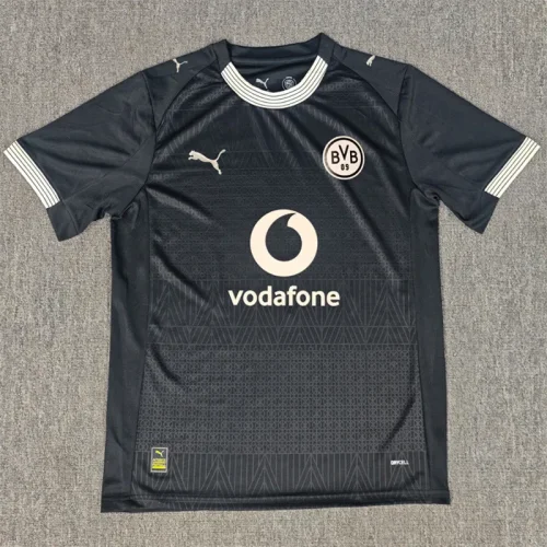 25-26 Dortmund Rote Erde 100th Anniversary Fans Soccer Jersey