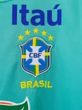 2024 Brazil Lake Green Retro Training shirts