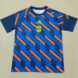 26-27 Spain Blue Training shirts