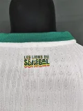 26-27 Senegal Home Player Version Soccer Jersey