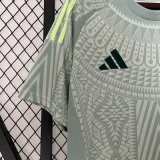 24-25 Mexico Away Fans Soccer Jersey