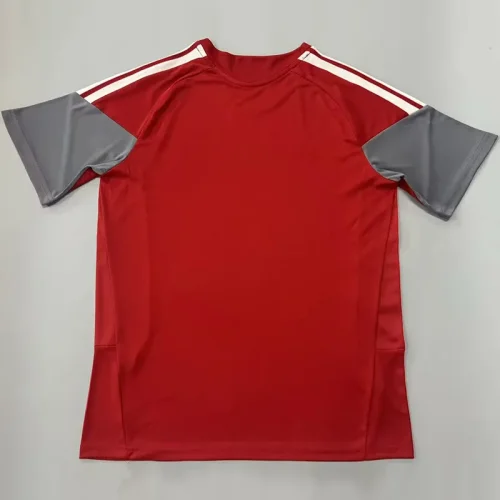26-27 Internacional Red Training shirts