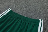 26-27 Algeria Green Training Short Suit