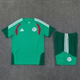 26-27 Algeria Green Training Short Suit