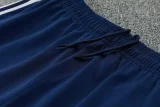 2026 AD Fancy blue Half Pull Tracksuit #814(半拉链)