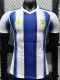26-27 Argentina Blue White Special Edition Player Version Training shirts (黄标)
