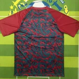 26-27 Portugal Red Fans Training shirts