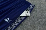 26-27 Man City Light blue Polo Tracksuit (圆领)