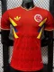 26-27 Colombia Red Special Edition Player Version Training shirts (三叶标)
