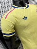 26-27 Curacao Aawy Player Version Soccer Jersey