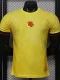 26-27 Colombia Yellow Special Edition Player Version Training shirts (逗号)