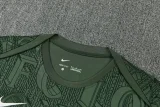 25-26 CHE Dark green Training Short Suit