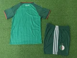 26-27 Algeria Away Kids Player Version Soccer Jersey (球员童装)