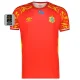 26-27 DR Congo Third Fans Soccer Jersey (Right-Arm Patch)