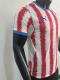 26-27 Paraguay Home Player Version Soccer Jersey (Right-Arm Patch)