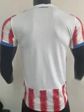 26-27 Paraguay Home Player Version Soccer Jersey (Right-Arm Patch)