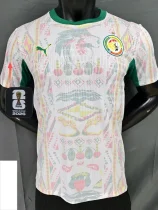 26-27 Senegal Home Player Version Soccer Jersey (Right-Arm Patch)