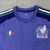 26-27 Mexico Purple Blue Long Sleeve Goalkeeper Soccer Jersey (长袖)