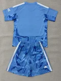 26-27 ARS Lake blue Goalkeeper Kids Soccer Jersey
