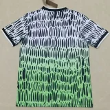 26-27 Nigeria Grey Green Training Shirts