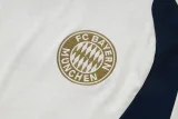 26-27 Bayern Khaki Training Short Suit #J26046
