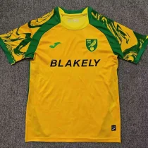 26-27 Norwich City Home Fans Soccer Jersey 26-27 Norwich City Home Fans Soccer Jersey