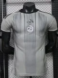 26-27 Algeria Grey Special Edition Player Version Training shirts