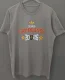 2026 Spain Gray Campeones High Quality T-Shirt (灰)(三叶标)