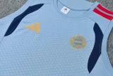 26-27 Bayern Gray Blue Tank top and shorts suit