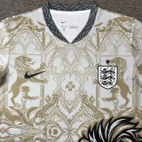 26-27 England Khaki Special Edition Training shirts (狮)