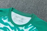 26-27 Portugal Green Training Short Suit
