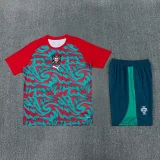 26-27 Portugal Red Green Training Short Suit